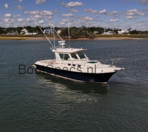 Albin 28 Tournament beoordelingen en specificaties